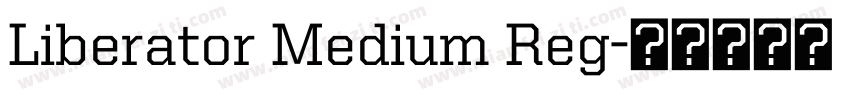Liberator Medium Reg字体转换